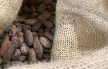 На Закарпатті почалося виробництво власного шоколаду з какао-бобів