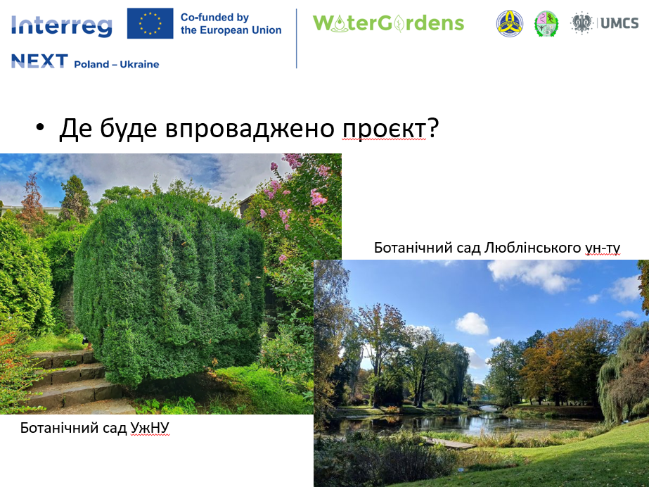 Зменшення впливу змін клімату: презентація