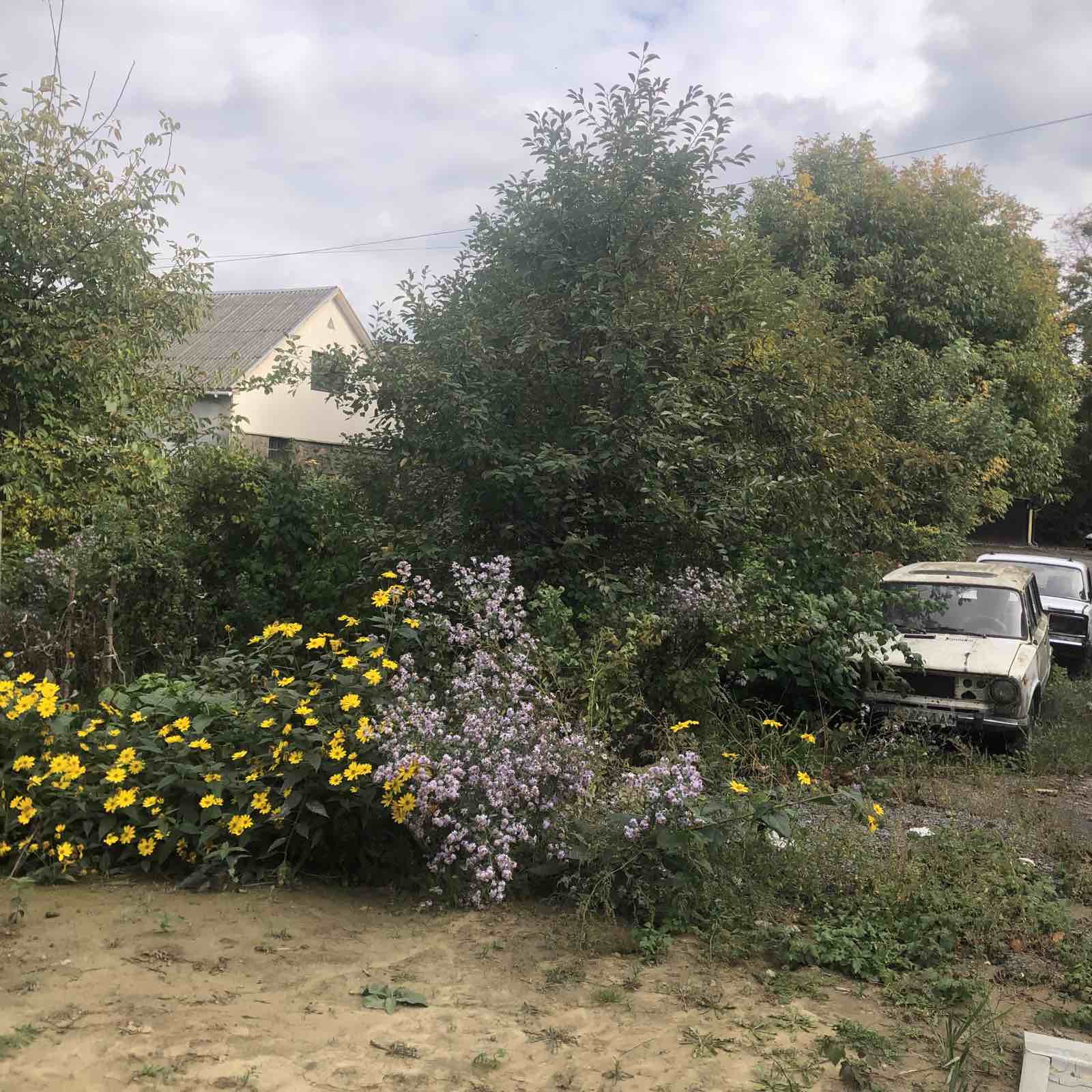 ОСББ Шопена, прибудинкова територія