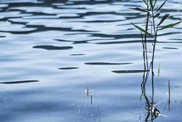 Фотоілюстрація 