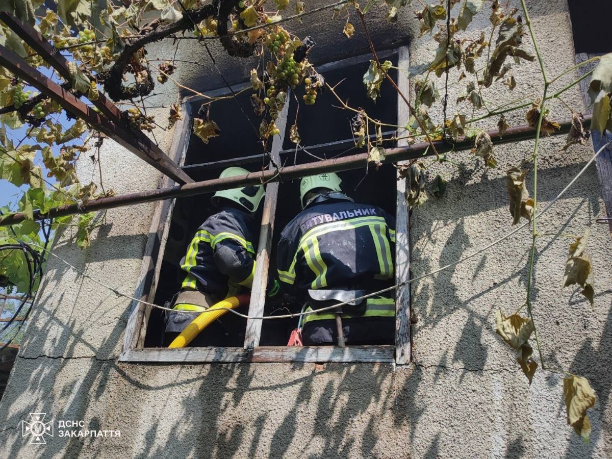 Рятувальники під час гасіння пожежі