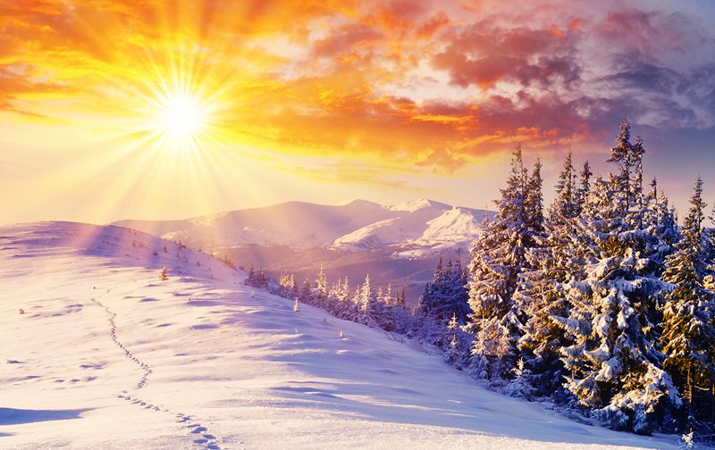 Прогноз погоди на 29 січня на території Закарпаття 