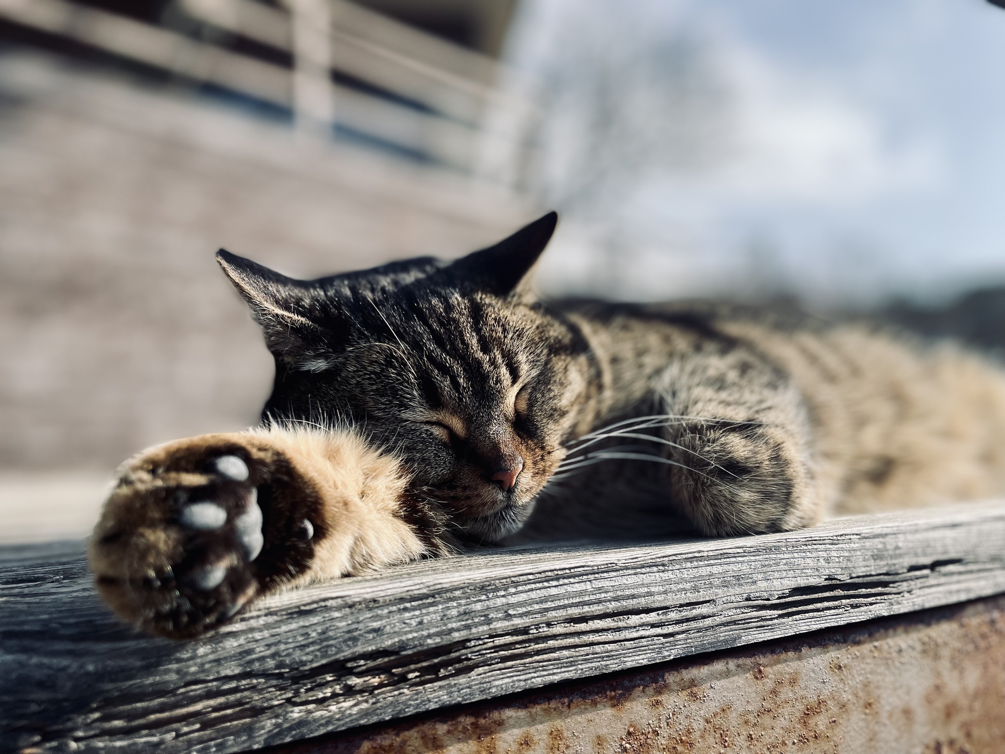 Вдень завтра буде 20-25° тепла