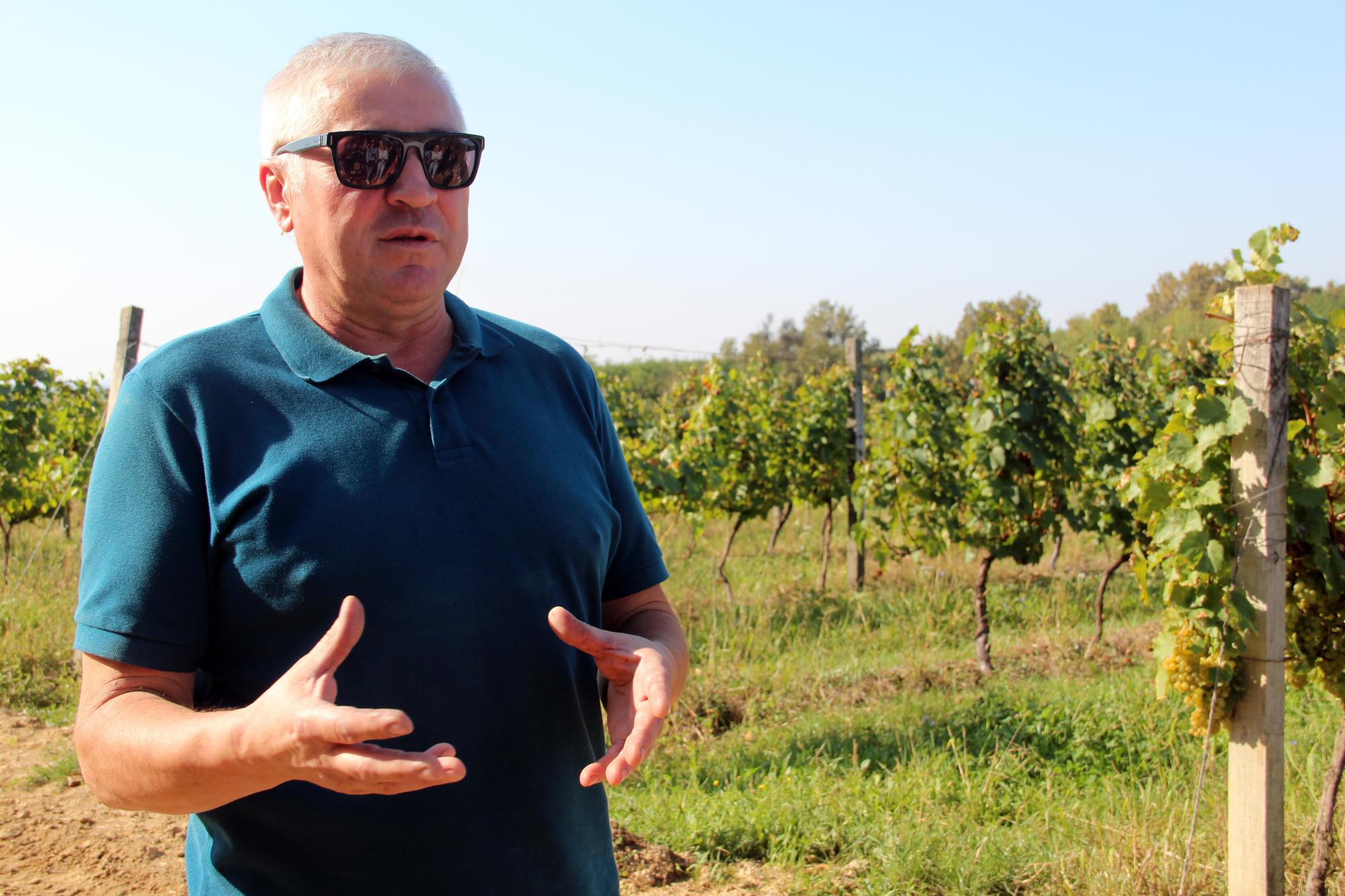 Іван Паук, виноградар