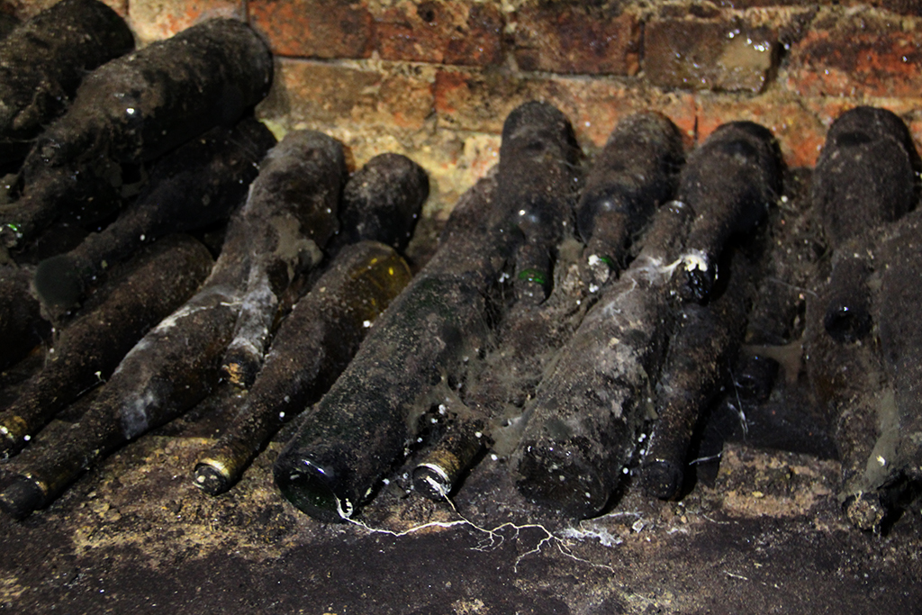 Винний підвал, Берегово, Закарпаття