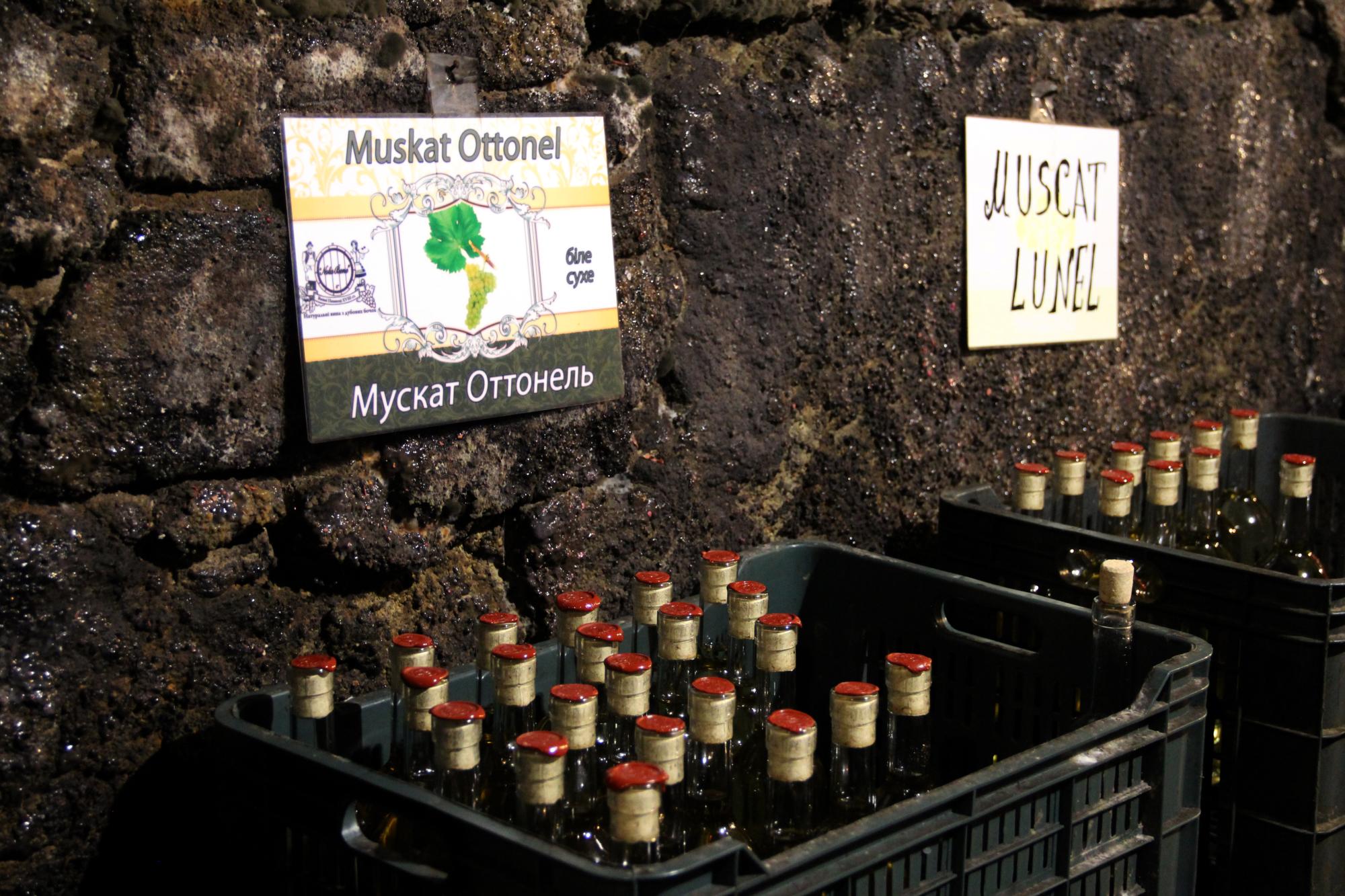 Винні підвали у Берегові