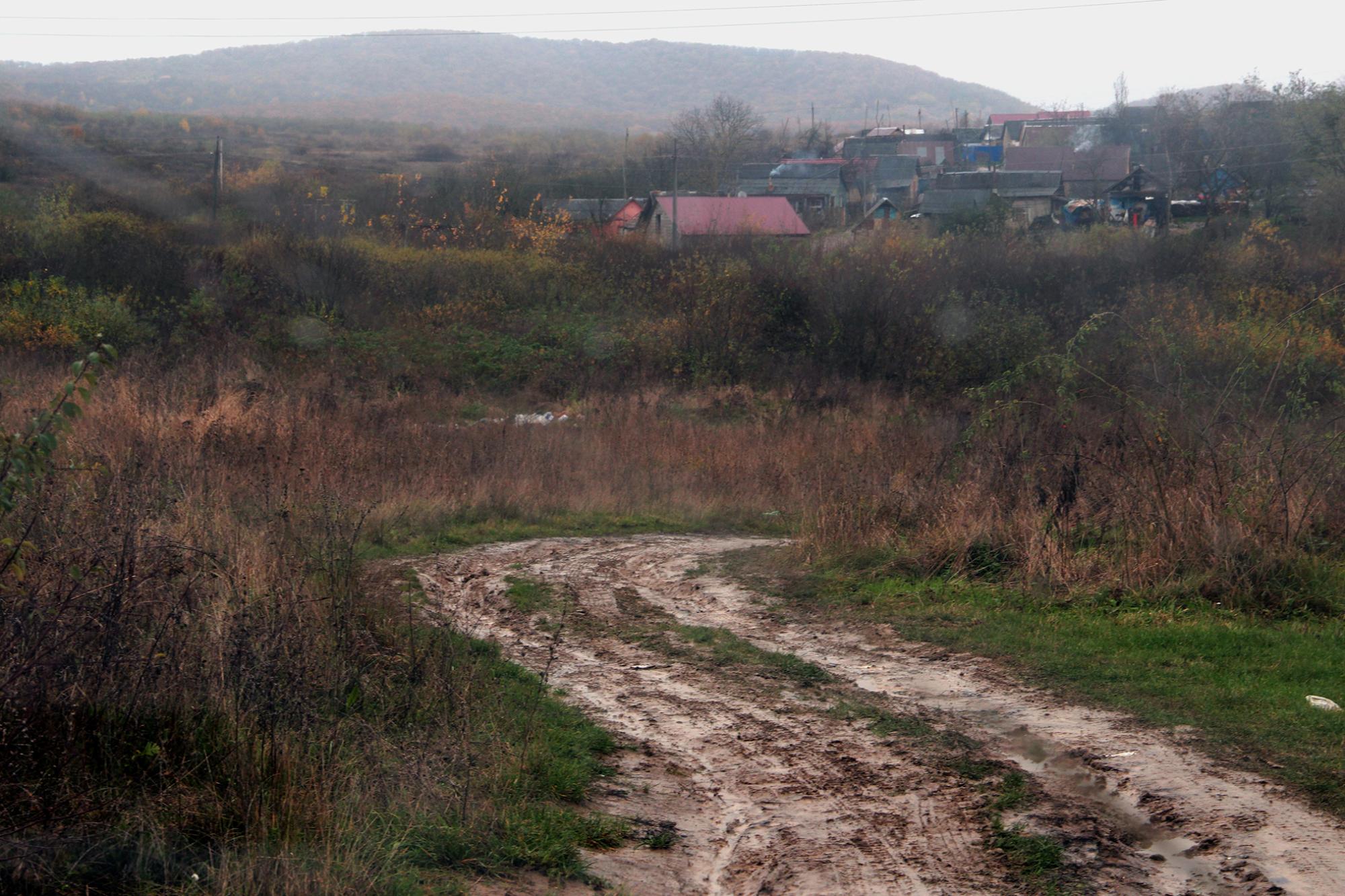 Грунтова дорога у селі Великі Береги