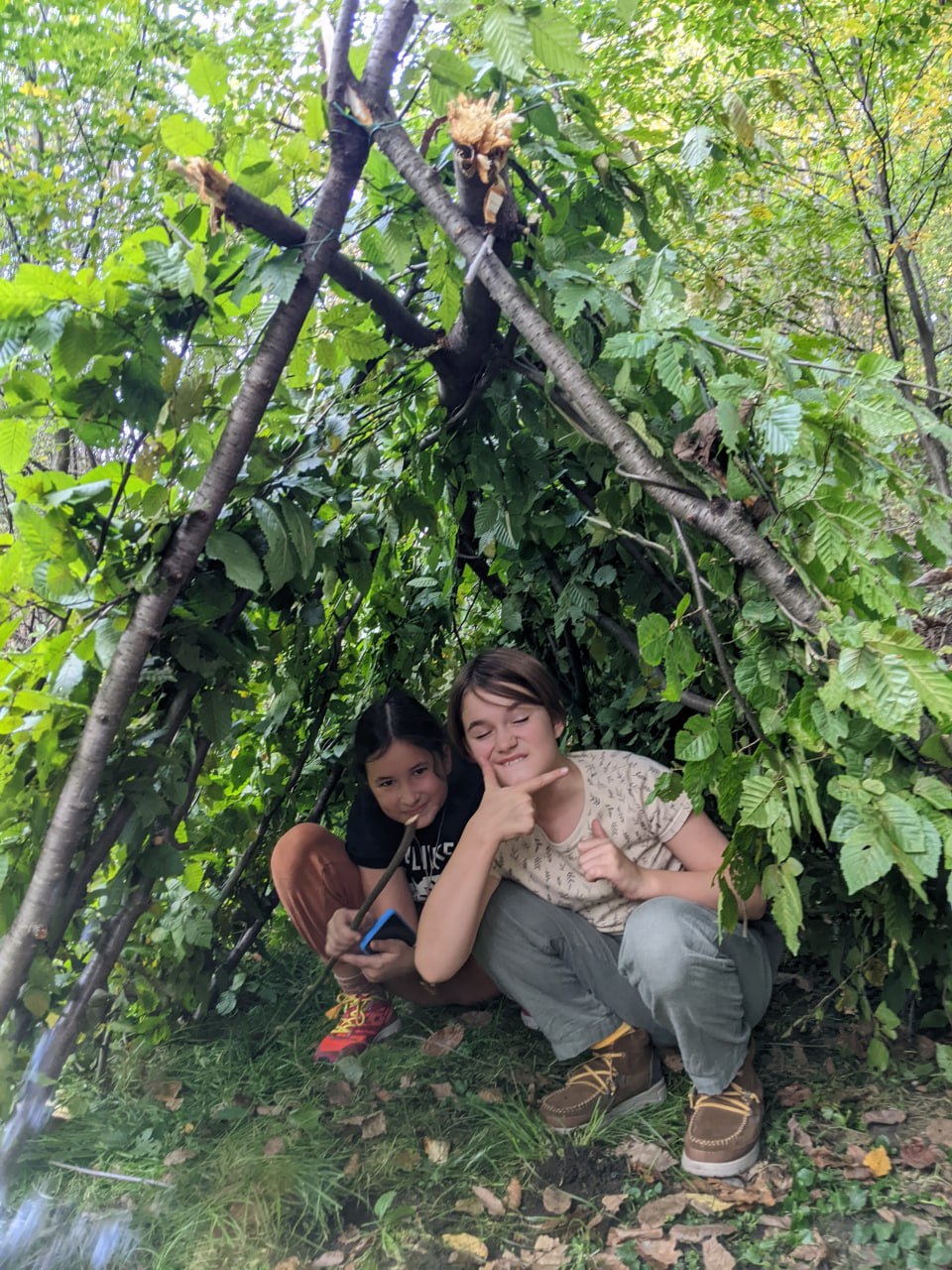 Хованка у лісі