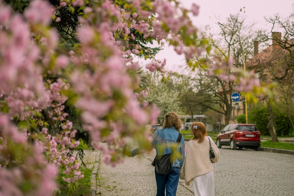 Перехожі під сакурами в Ужгороді