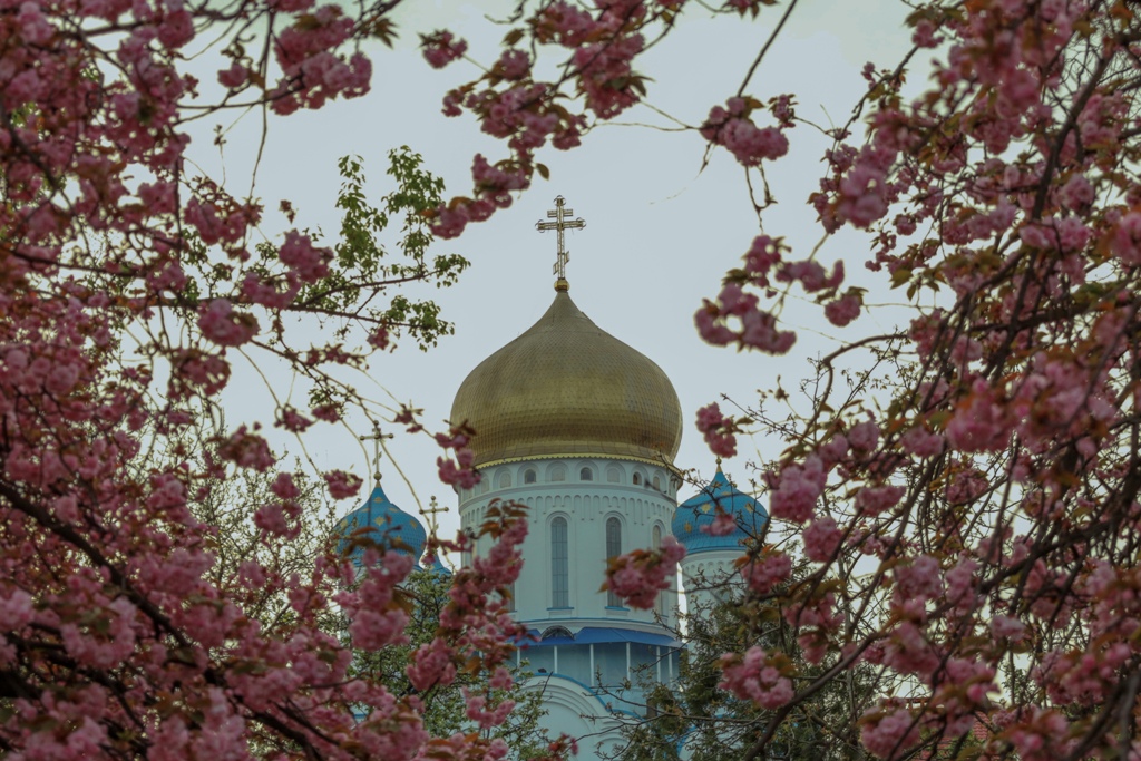 Собор в Ужгороді