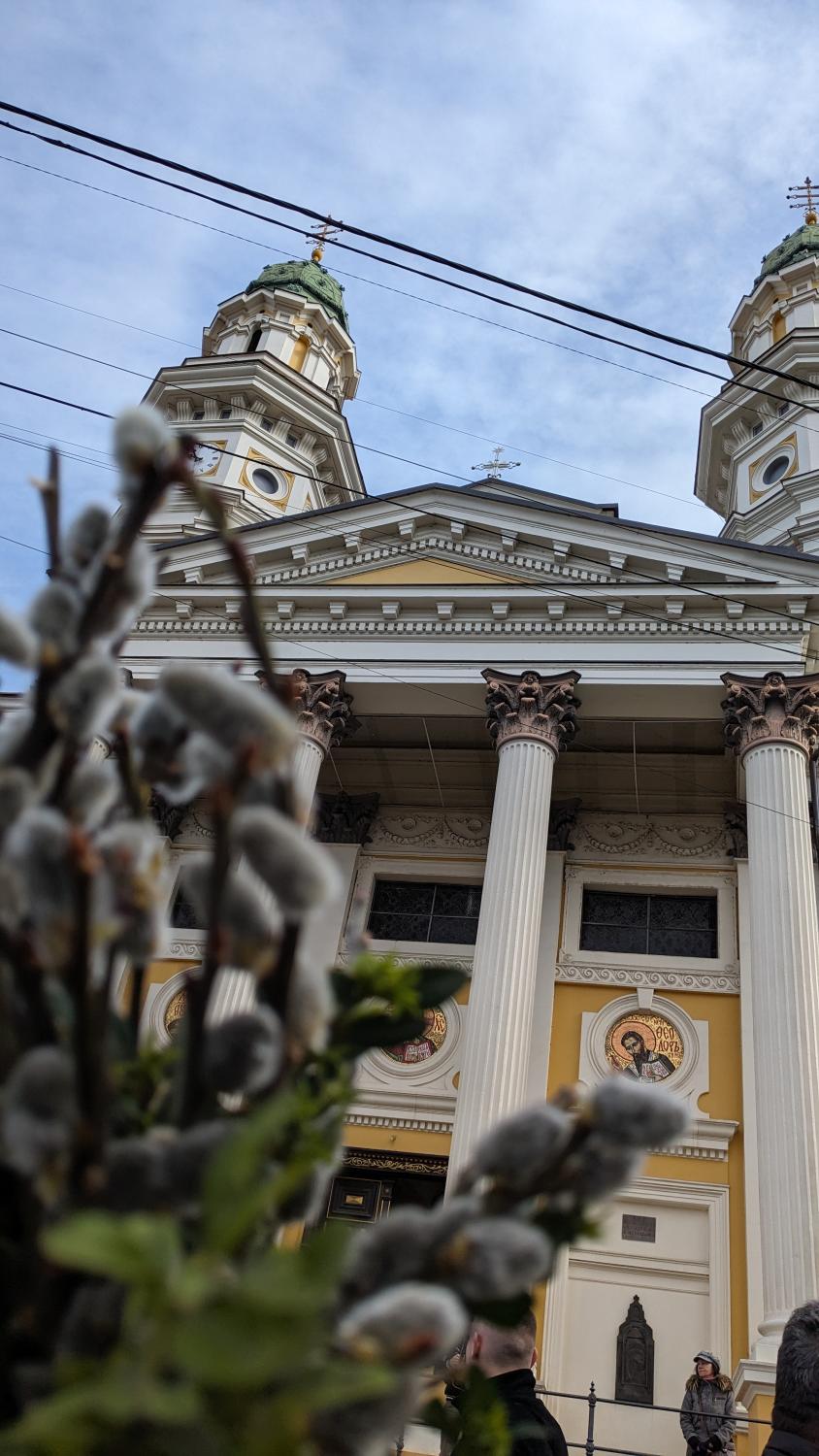 Гілочки верби на фоні кафдерального собору в Ужгороді