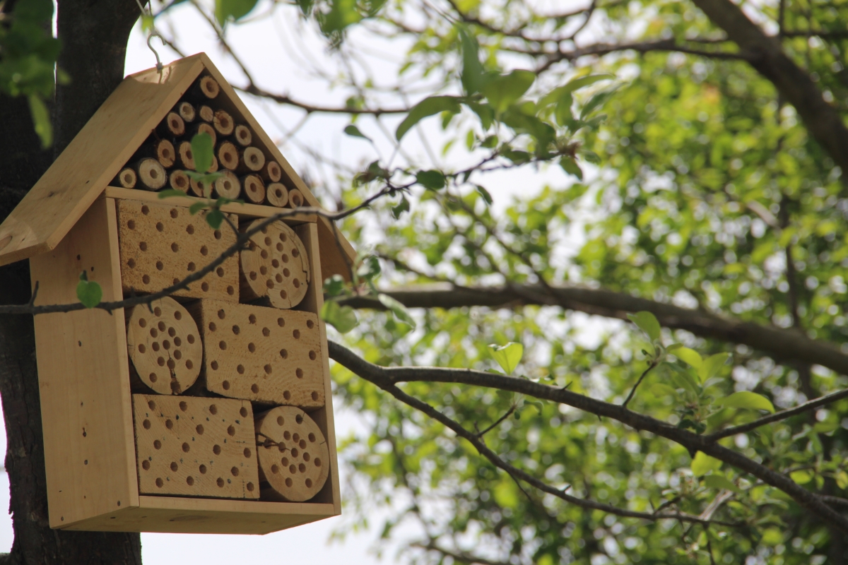 Будиночок для комах біля теплиць у Нижньому Селищі