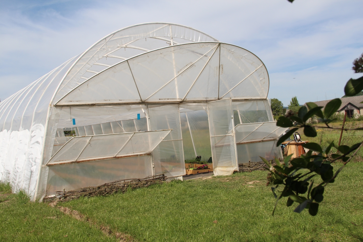 Теплиця у Нижньому Селищі