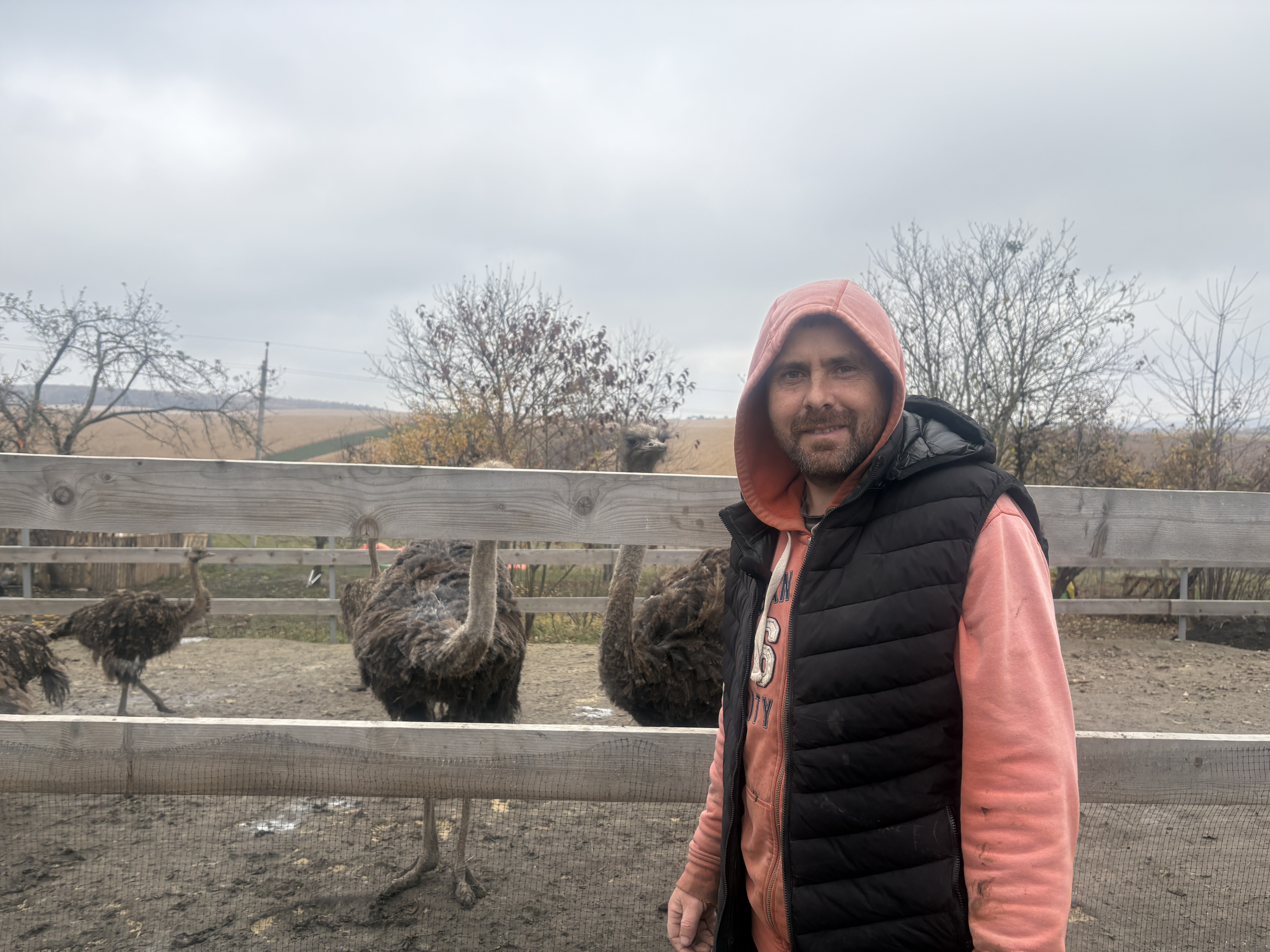 З великого міста у село