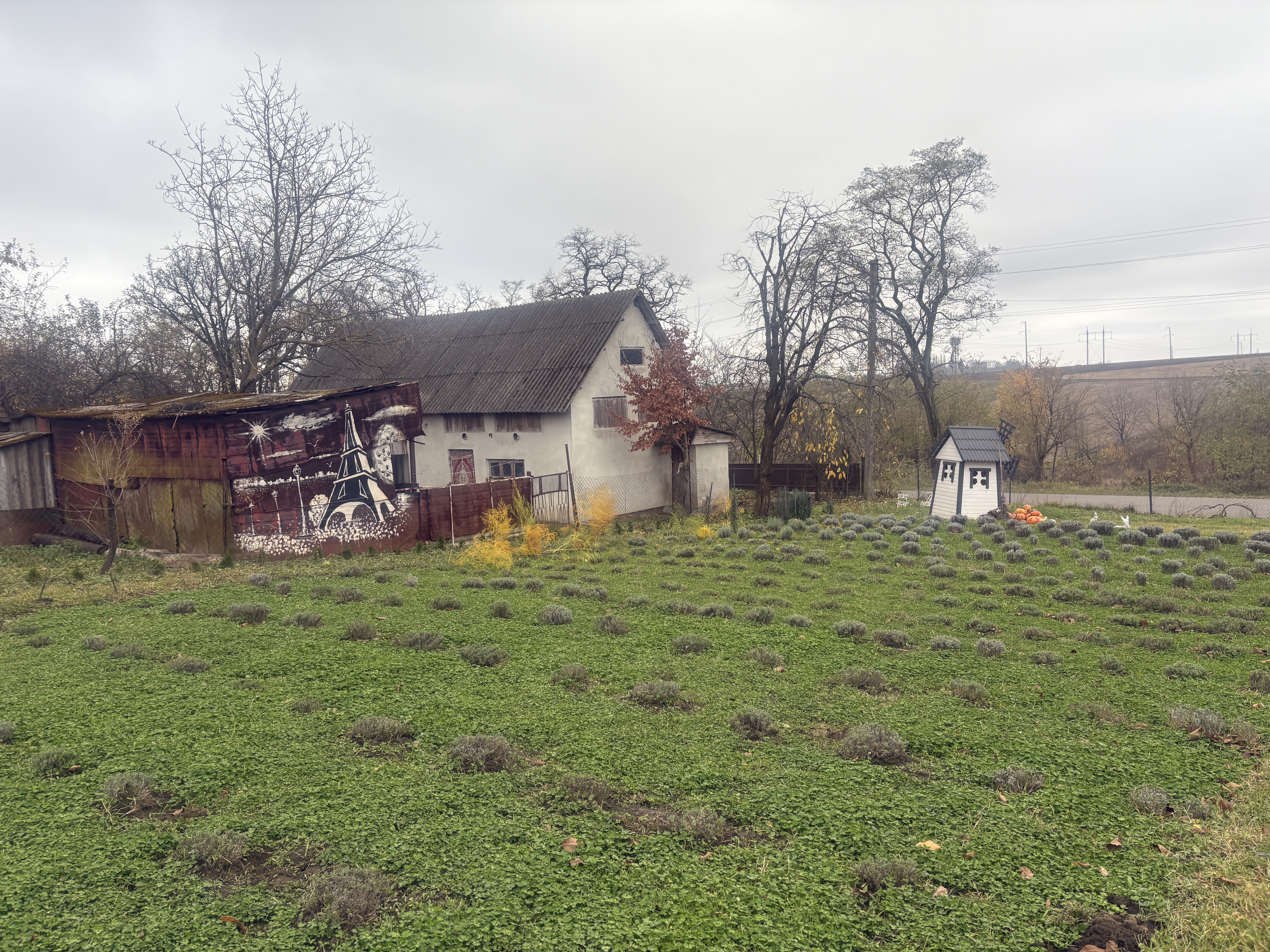 Екоферма «Гніздо»