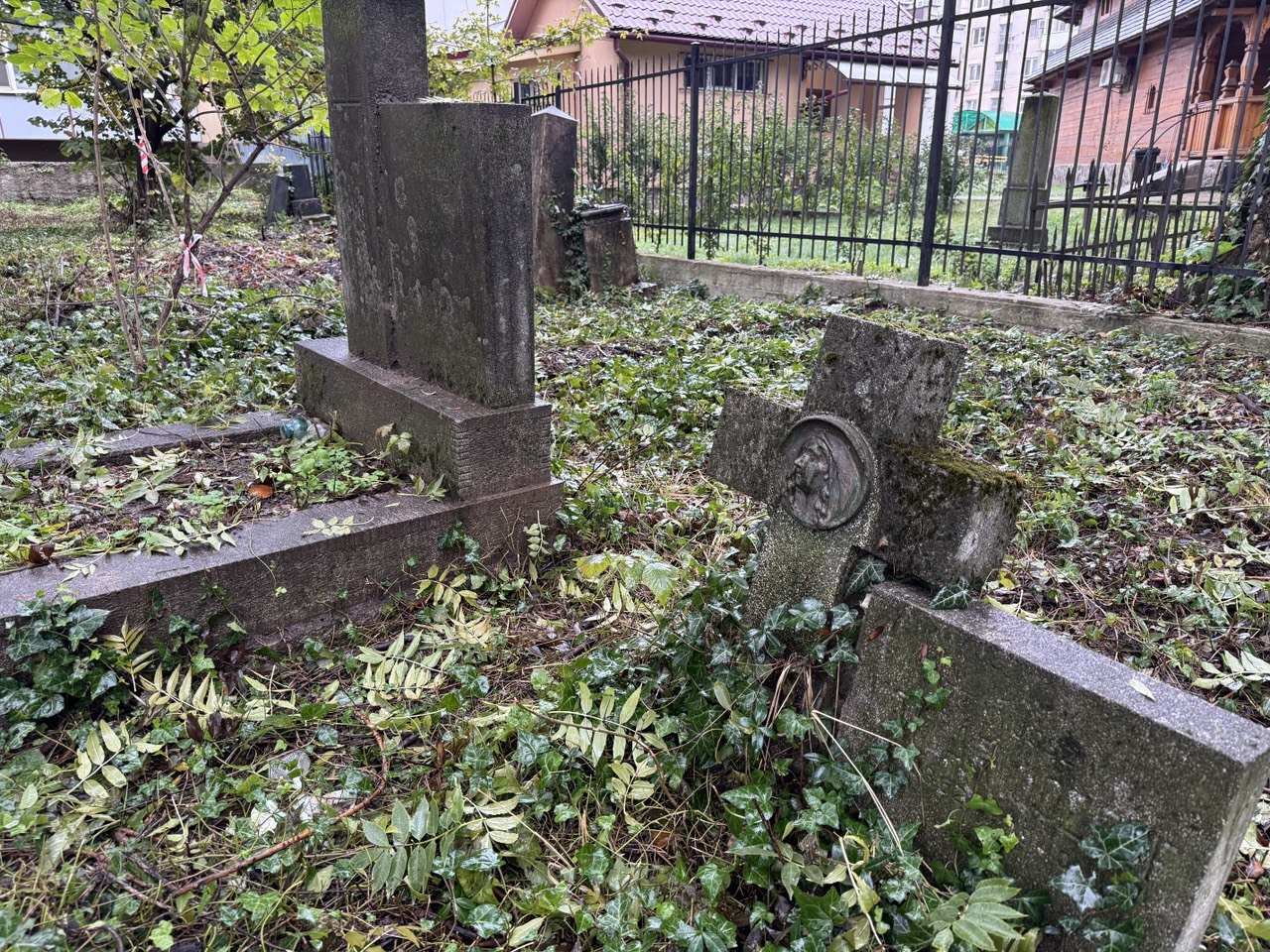 Могили швидко заростають рослинами