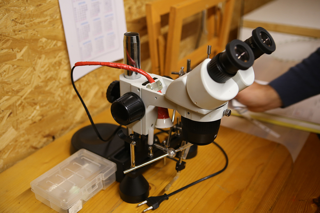 В лабораторії Ленделів