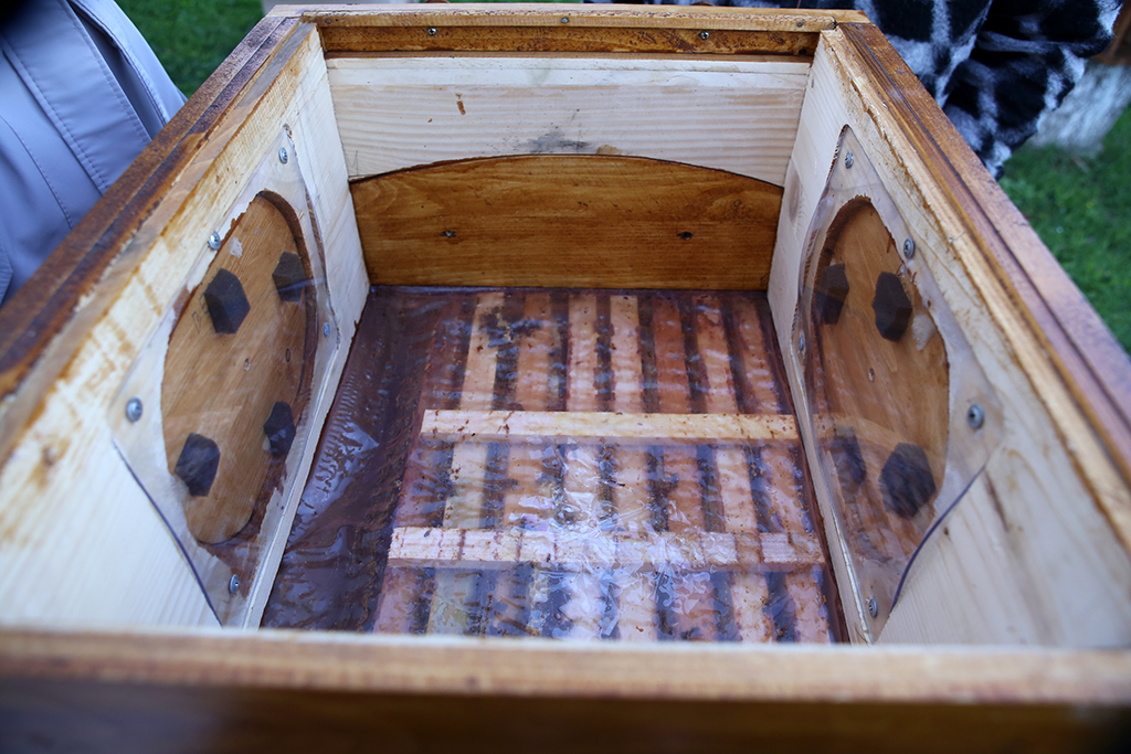 Вулик всередині