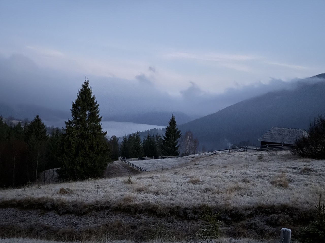 На полонині