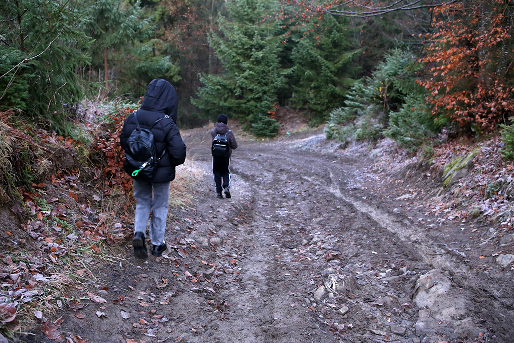 Дорога до школи через ліс