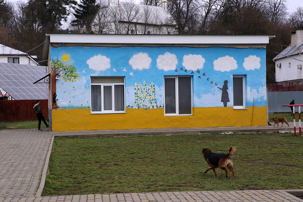 Кольоровий дві школи