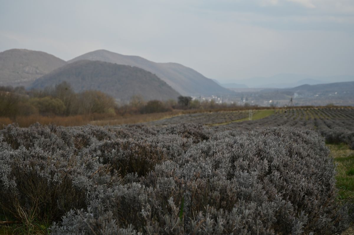 Гора готується до туристичного сезону