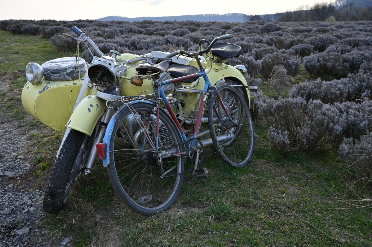 На Лавандовій горі