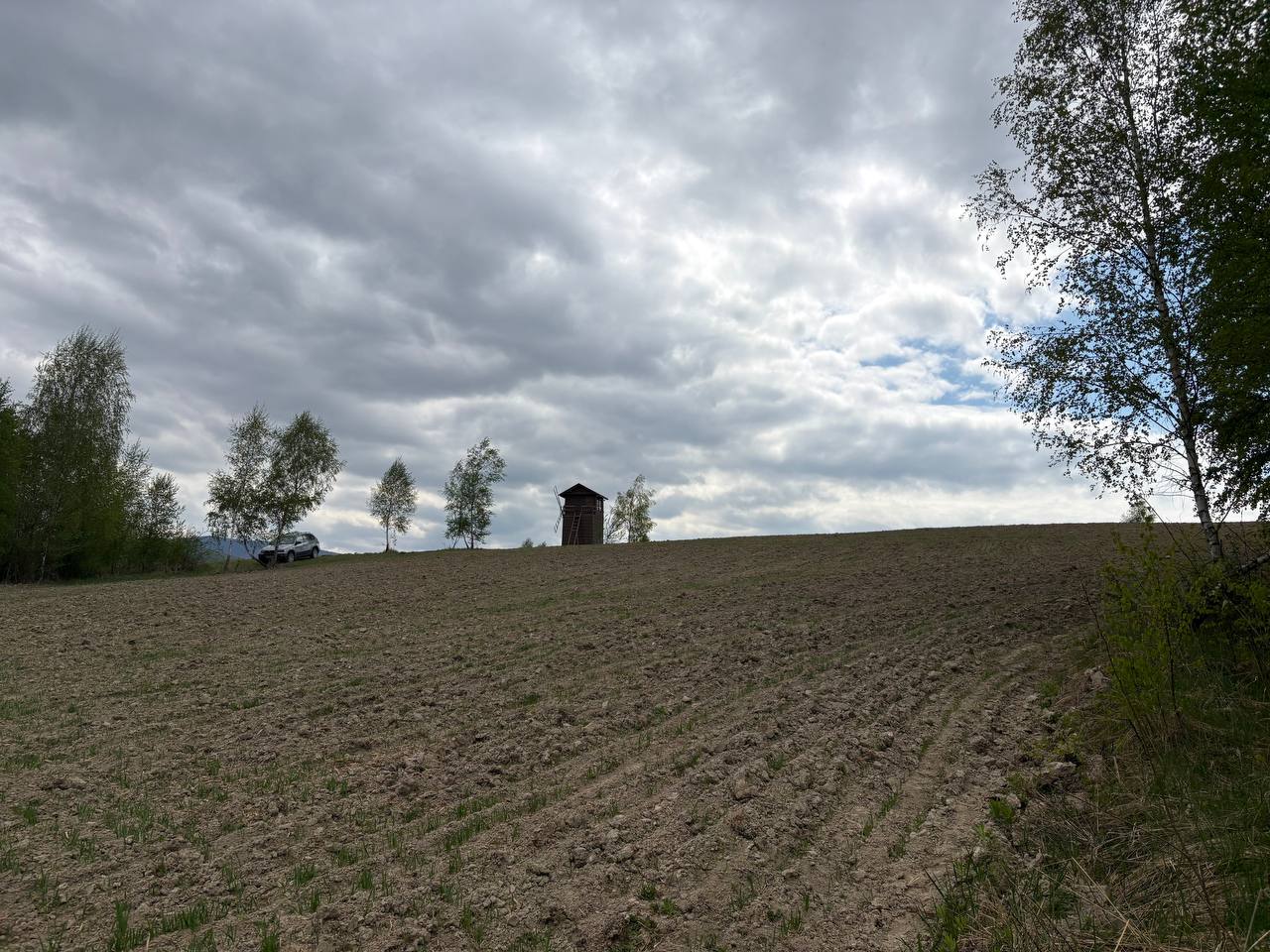 Лавандова гора