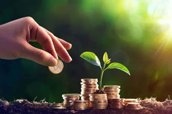 Майже 100 млн. грн. за два місяці було сплачено податків на землю у Закарпатській області 