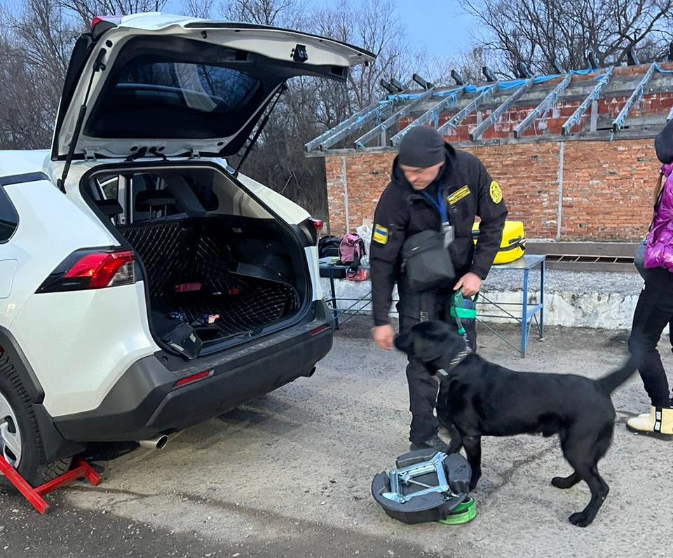 Службовий пес Балу натренований на пошук прихованих грошей 