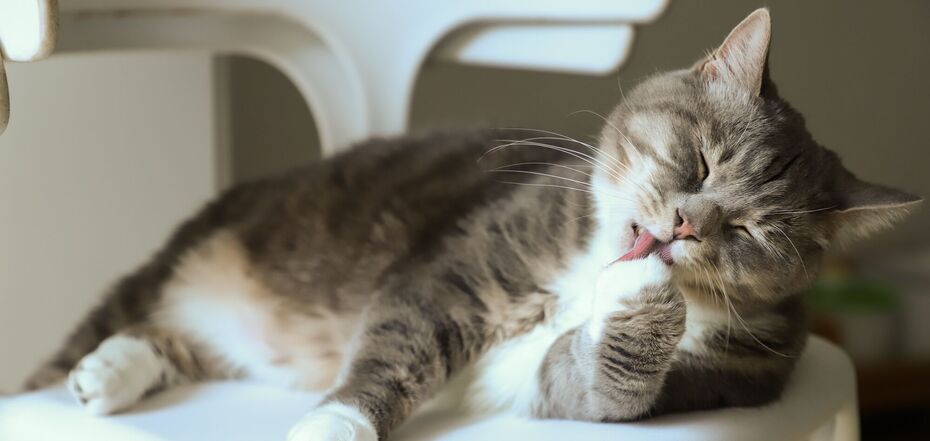 16 лютого в області буде без опадів 