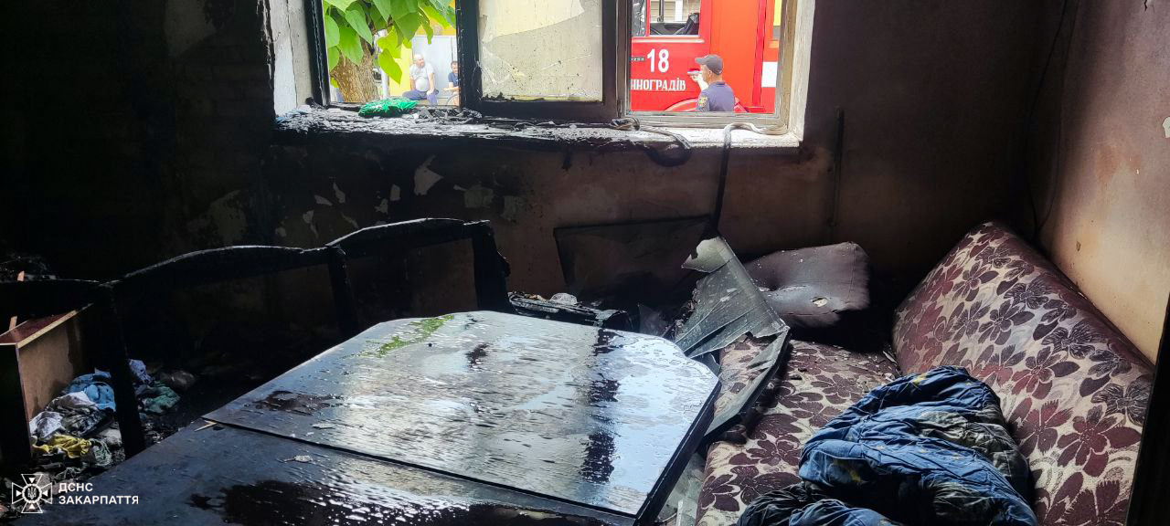 Гість врятував жінку та її маленького онука