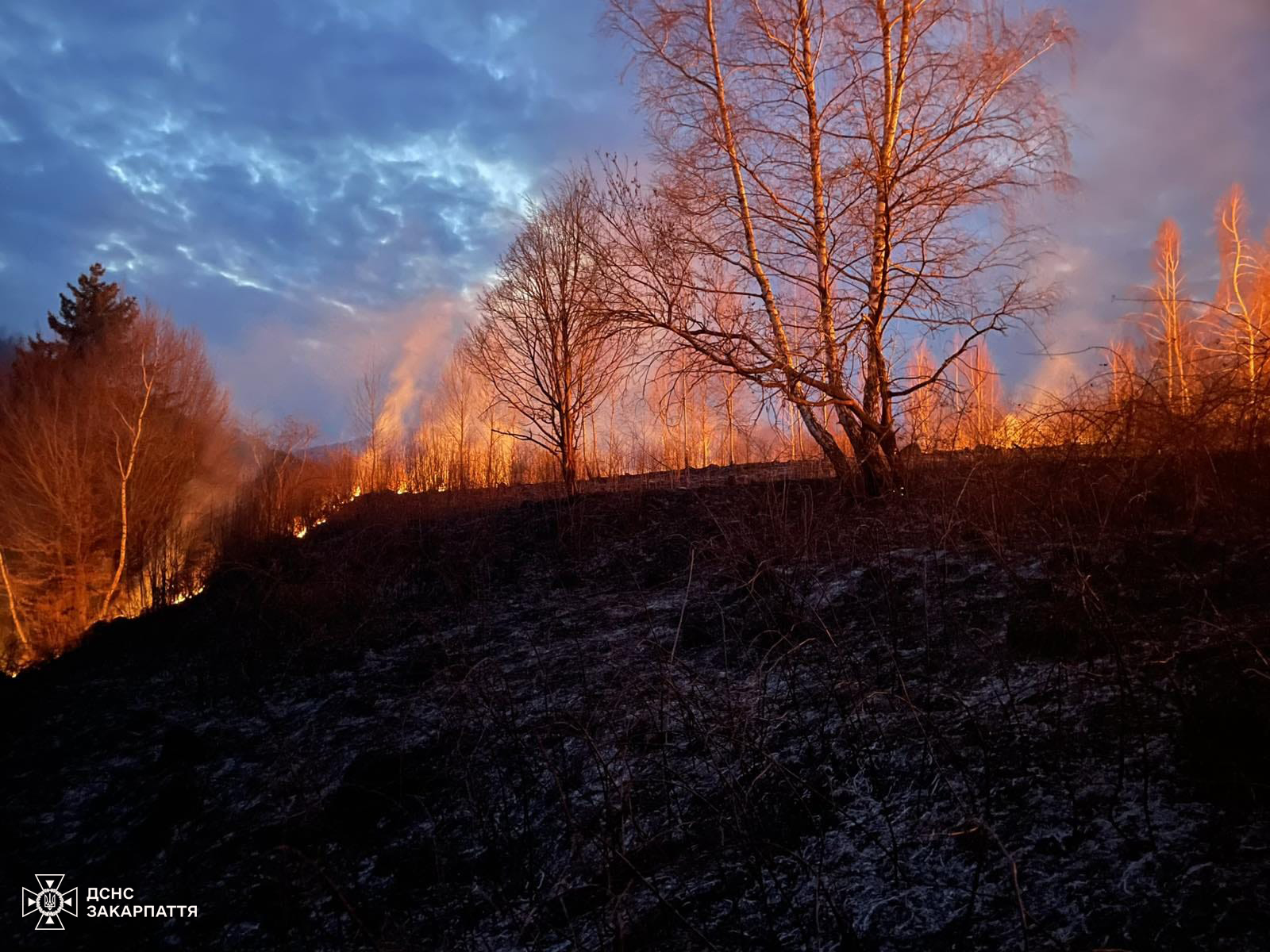 Пожежі унаслідок паління сухостою