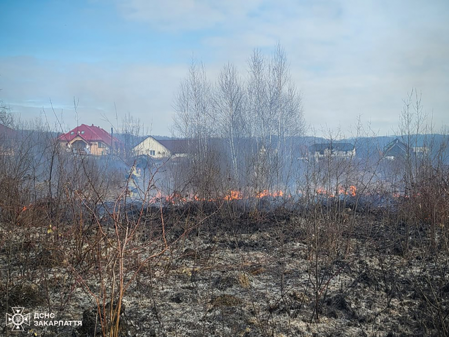 Підпал сухої трави на Тячівщині