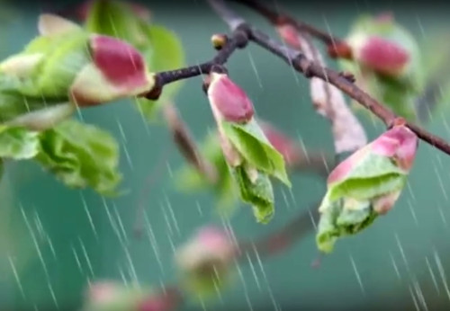 На завтра прогнозують невеликий дощ у горах та 17° тепла