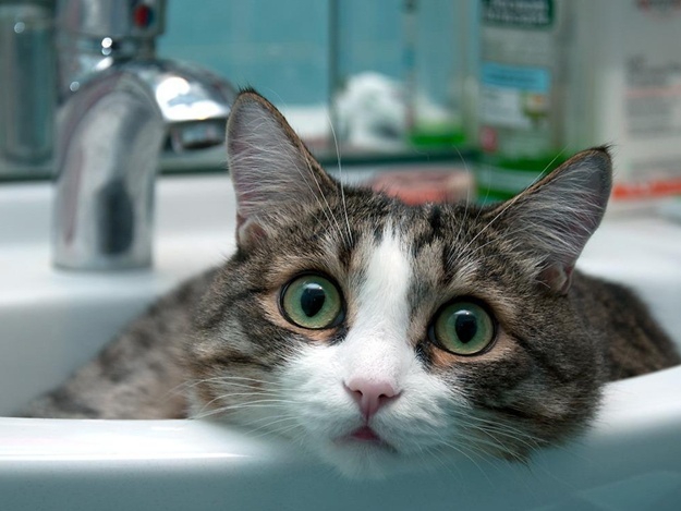 Воду обіцяють включити після 14-ї години