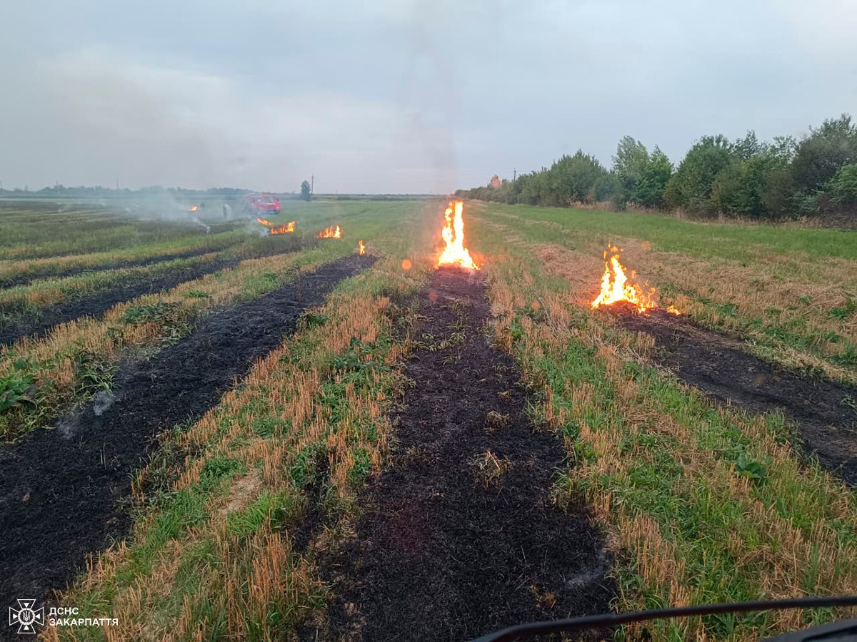 Загоряння сухої трави