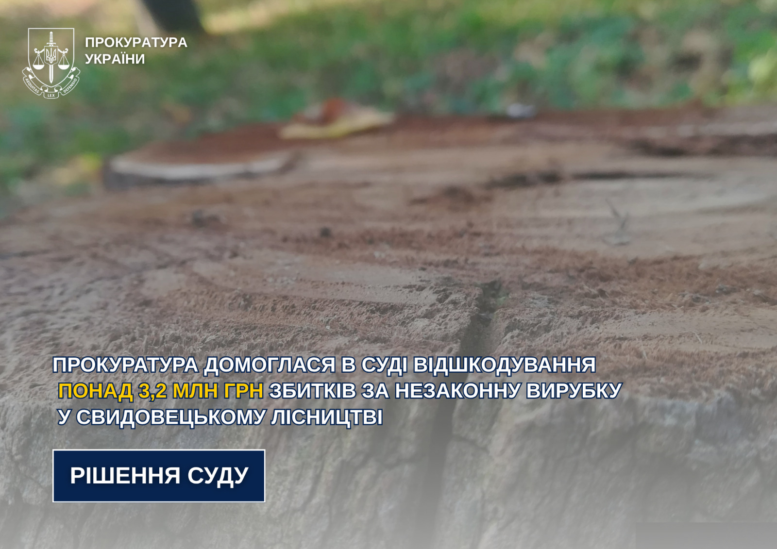 Незаконні рубки