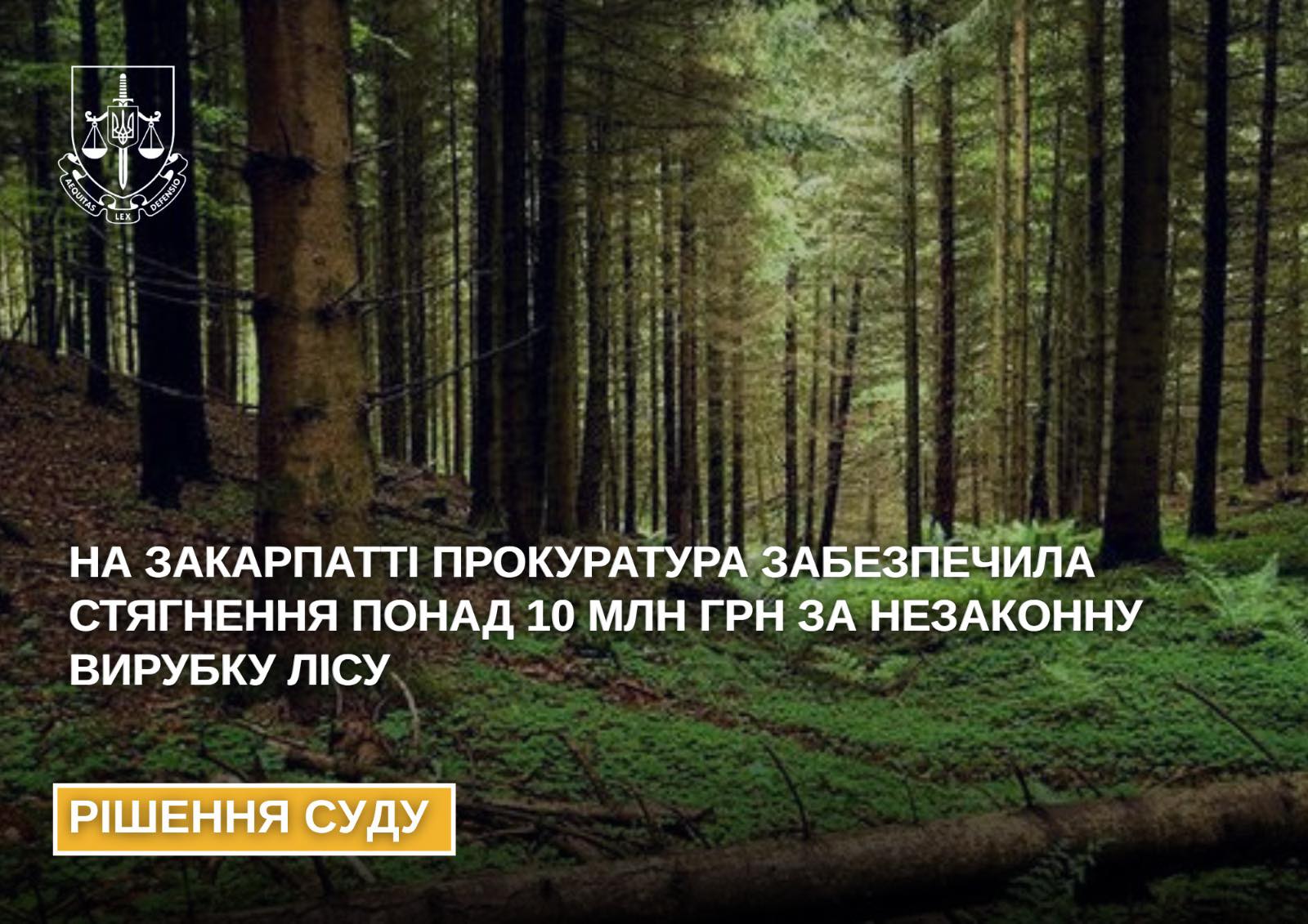Ліс