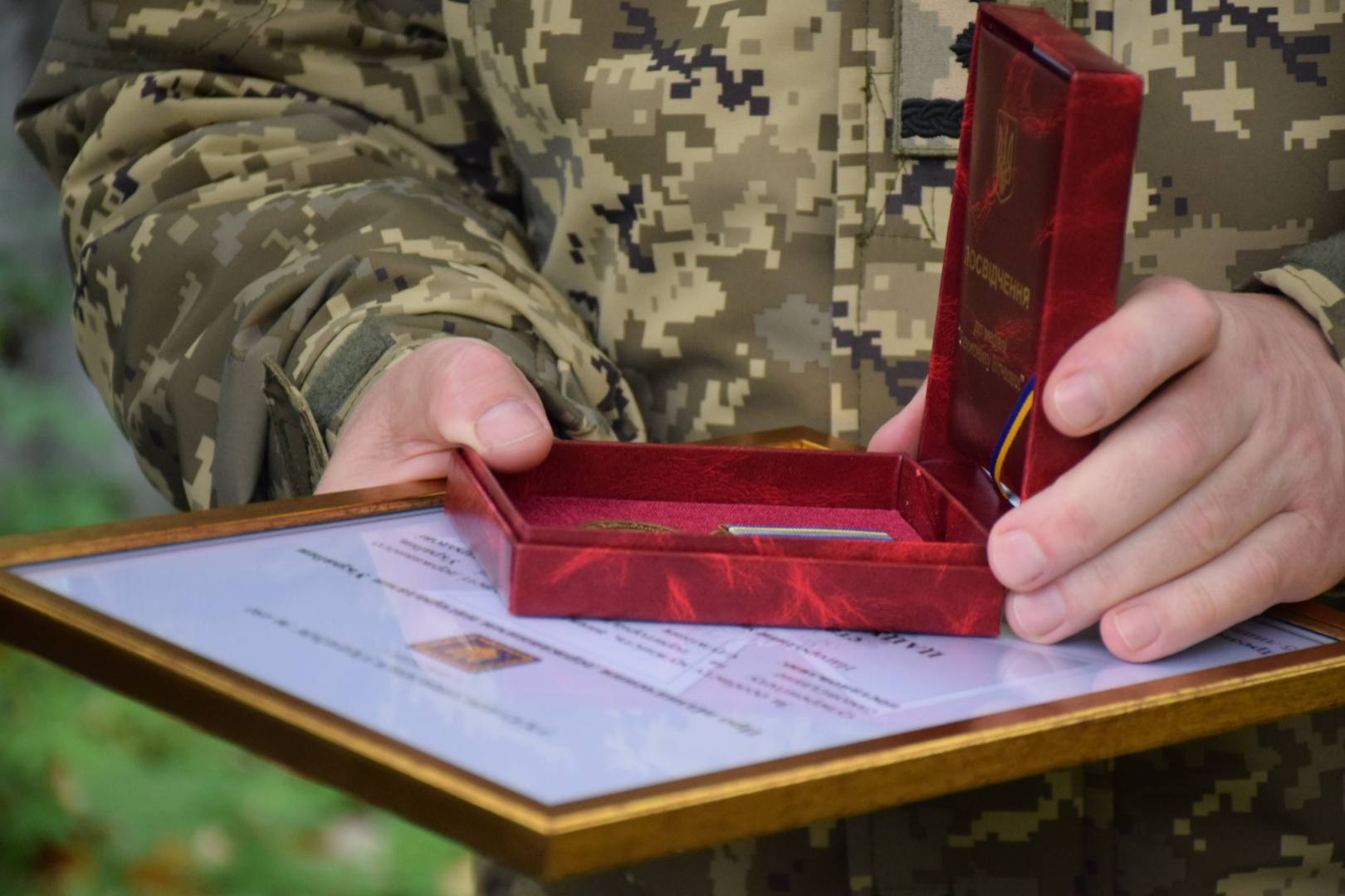 Медаль "Захиснику Вітчизни"