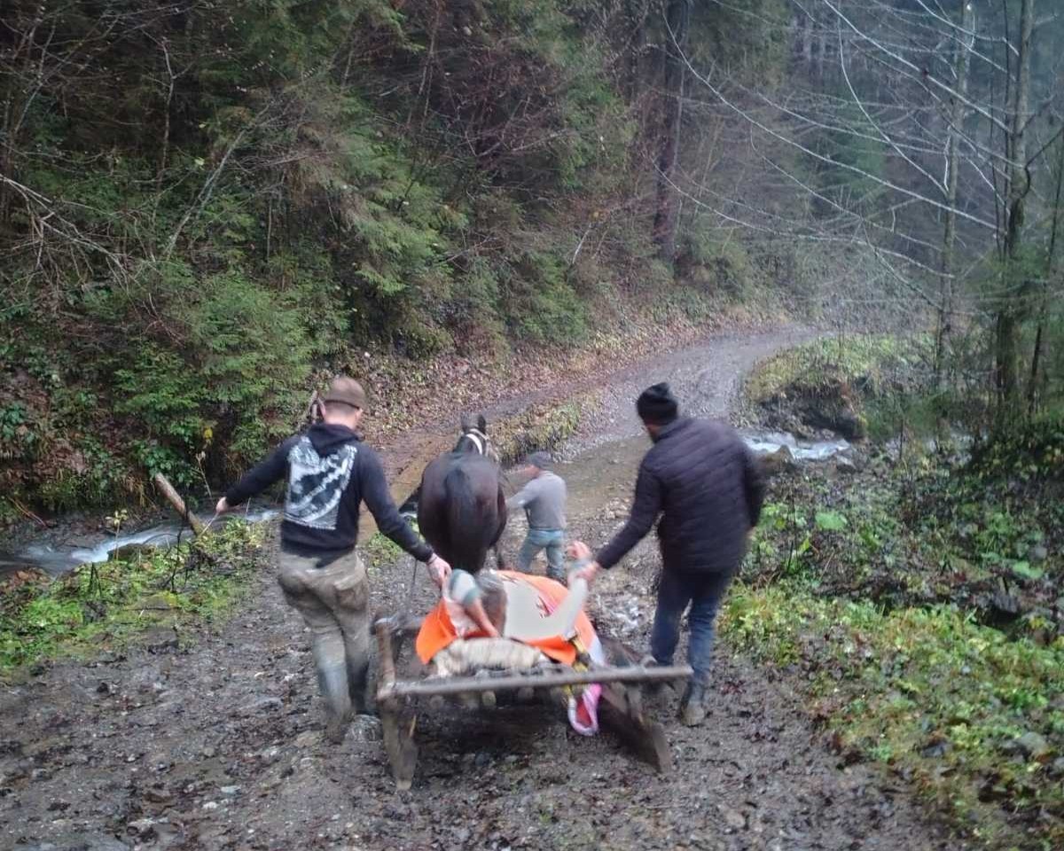 Евакуація пацієнта Рахівщині