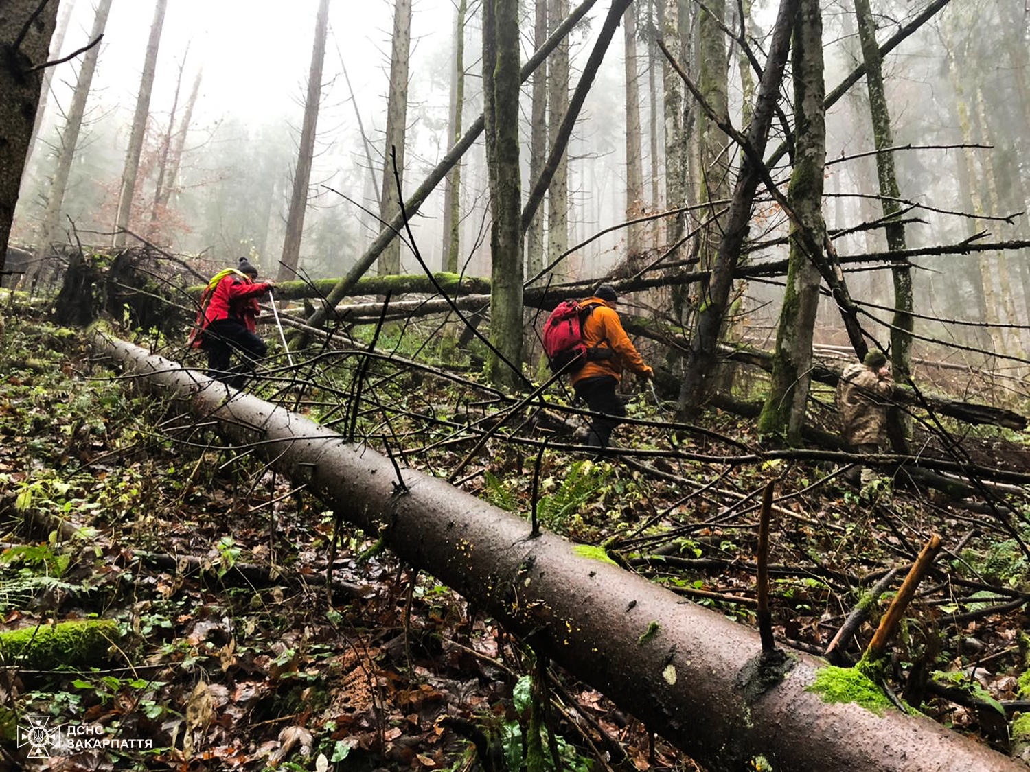 Пошуки заблукалого