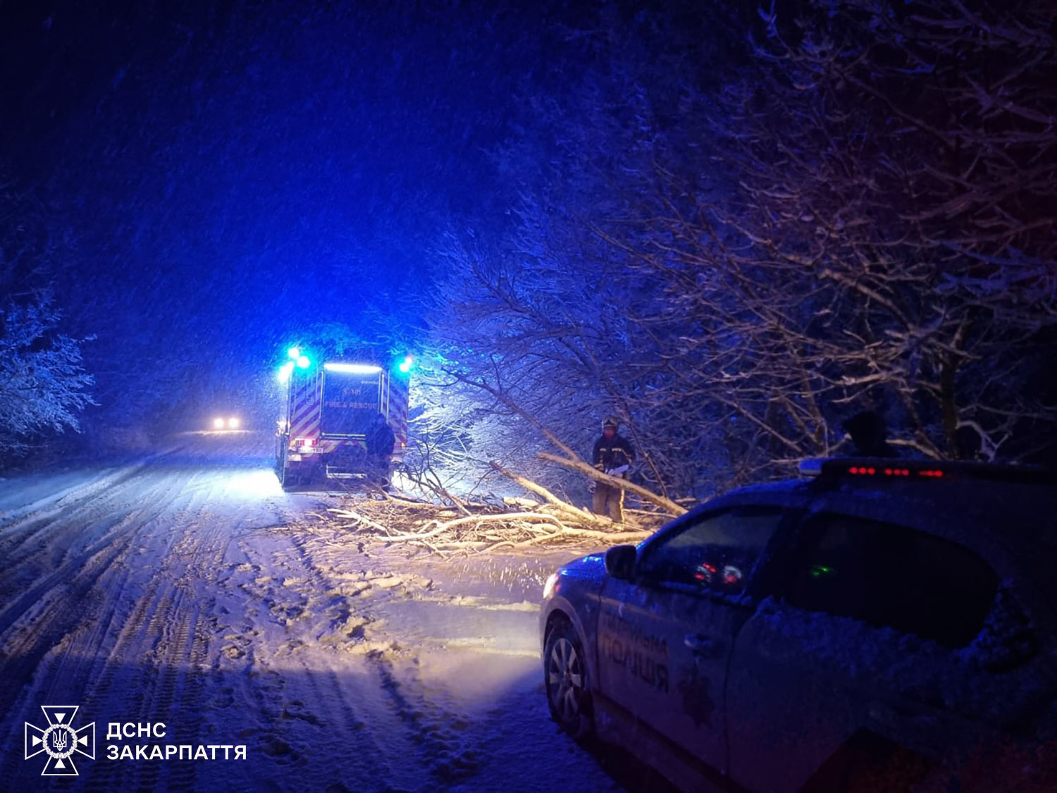 Падіння дерев на авто на Закарпатті