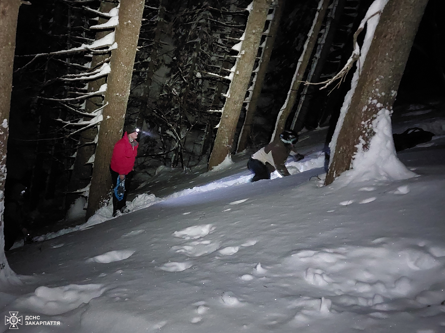 Пошуки заблукалого