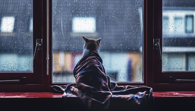 Незначні опади дощу на низовині, а в гораз з мокрим снігом, завтра будуть на Закарпатті 