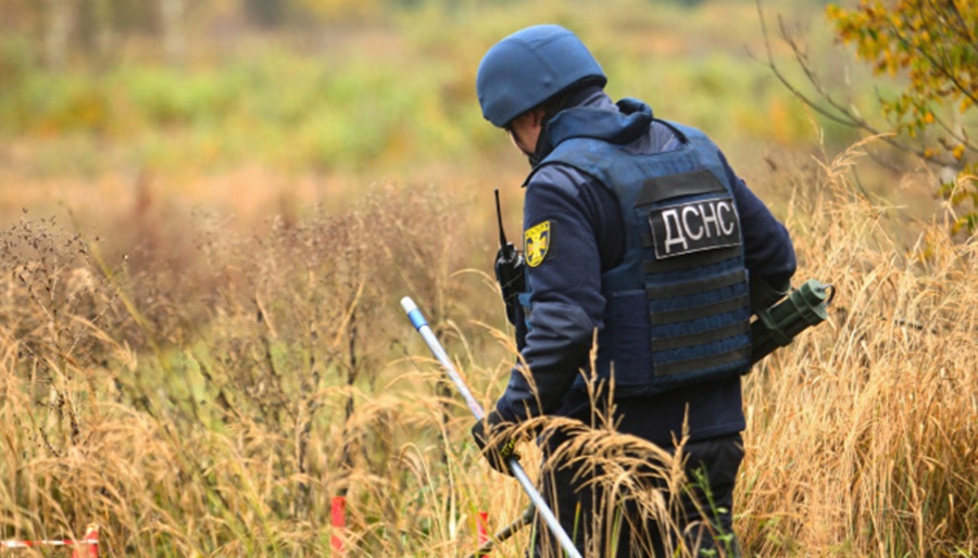 На Рахівщині виявили ручну гранату