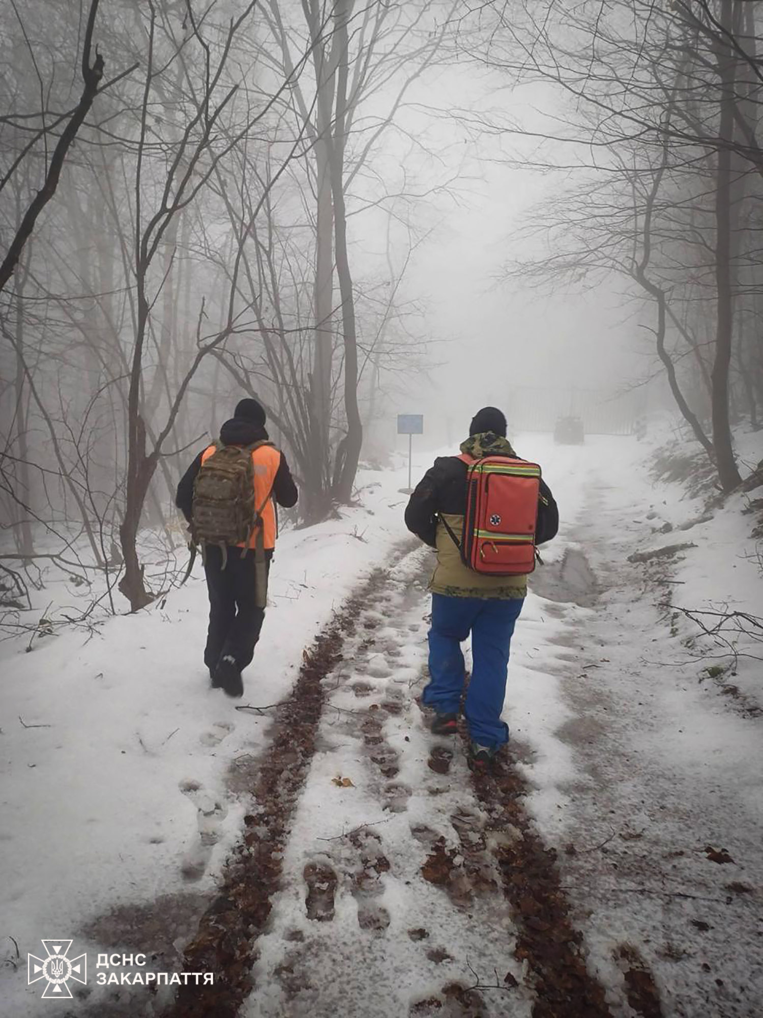 Пошуки заблукалого