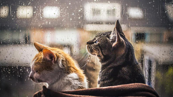 Прогноз погоди на Закарпатті 6 лютого 