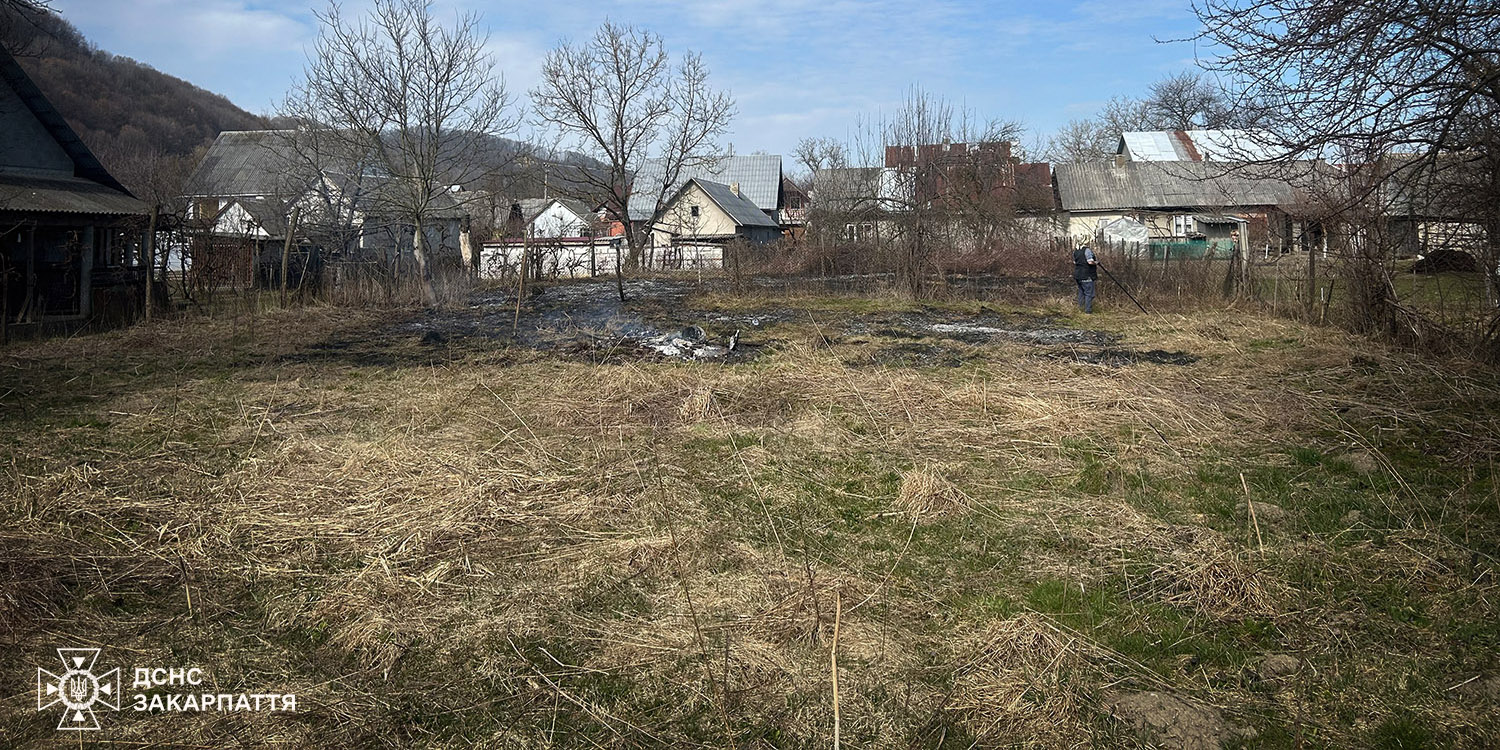 Спалювання сухої трави