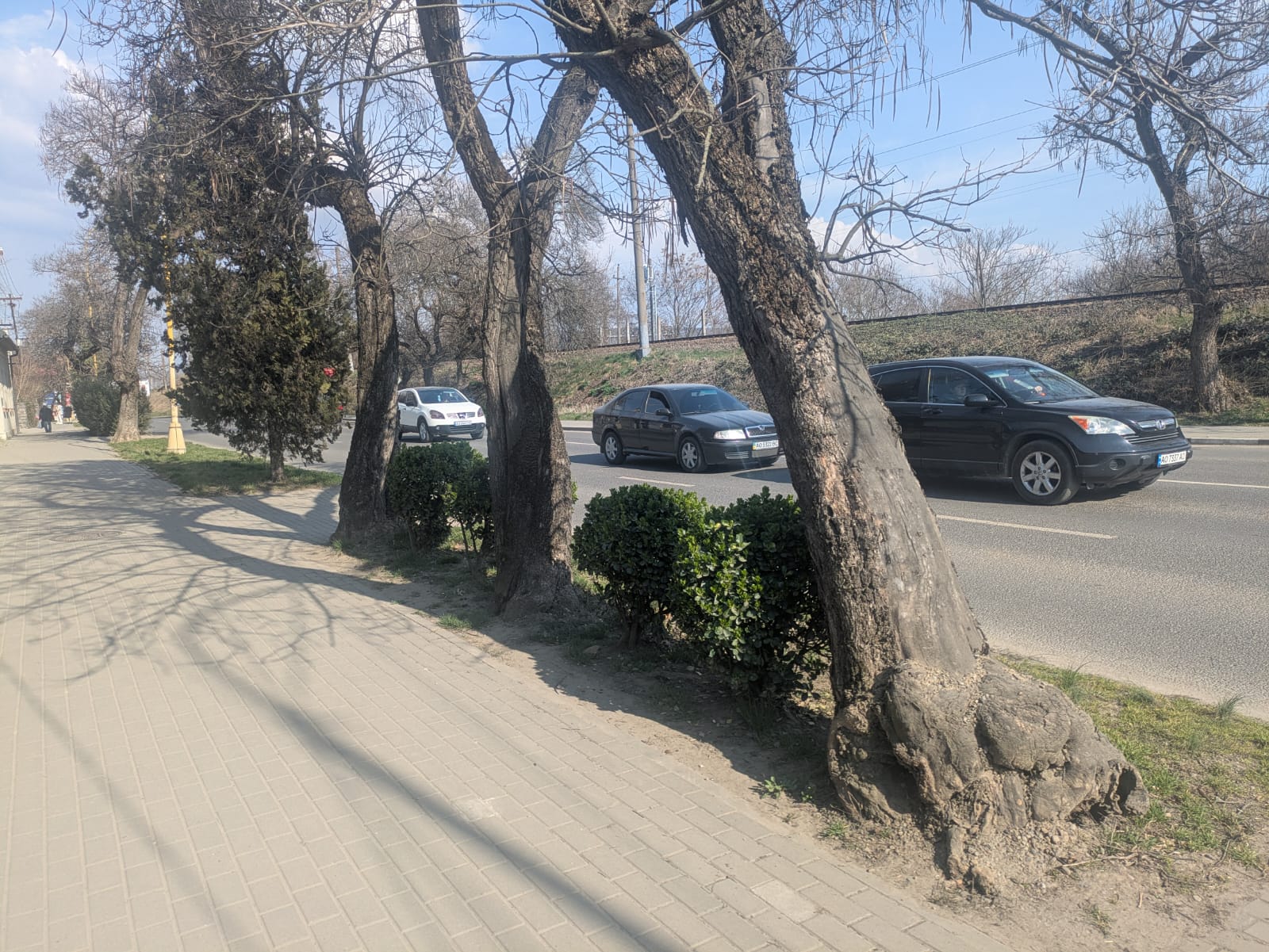 Вулиця Академіка Шпеника